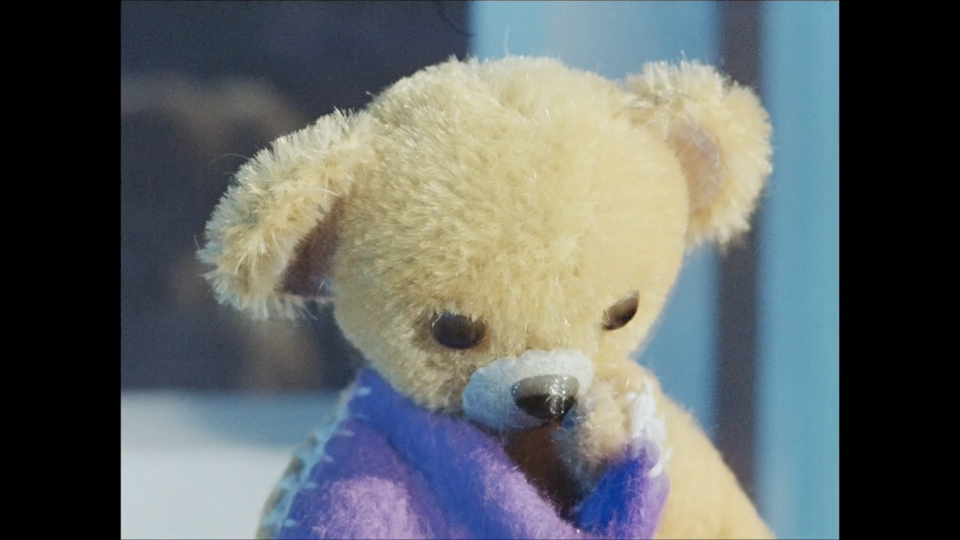 Teddy haelt eine Decke und schaut nach unten.