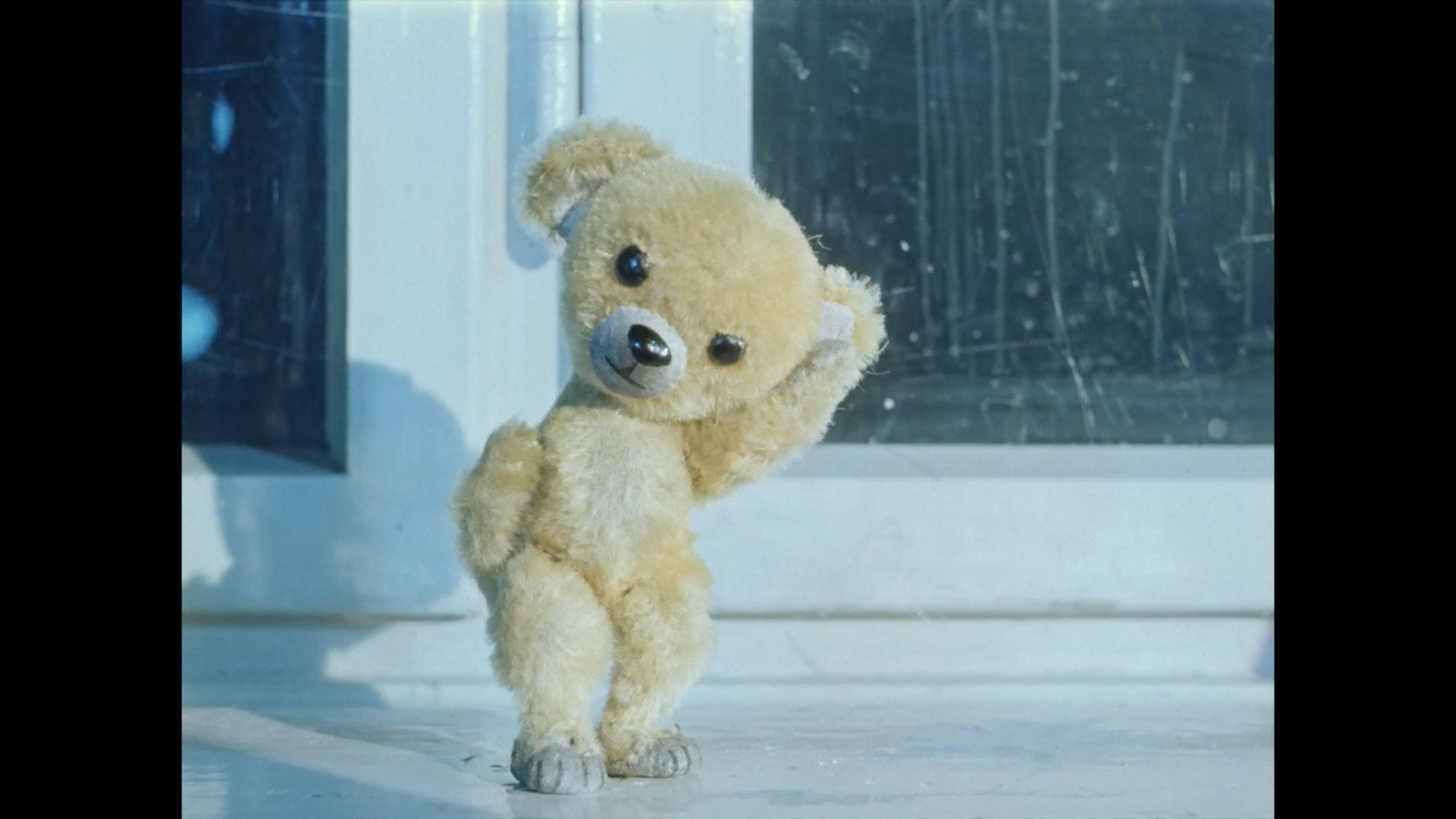 Teddy aus dem Film steht vor einem Fenster und neigt freundlich den Kopf.